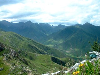 DSCF0135