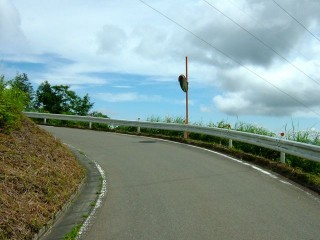 DSCF0347