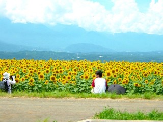 DSCF0423