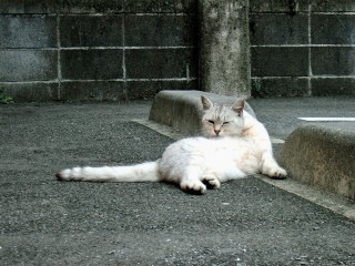 DSCF0477