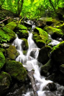 DSC_1558