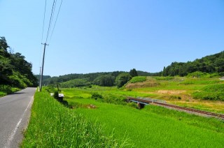 DSC_2338