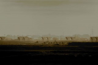 DSC_4150