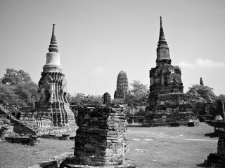 P1030523