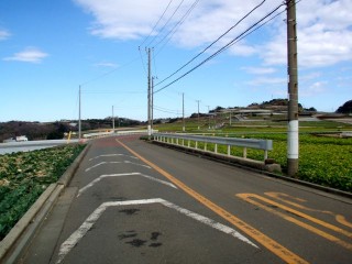 P2134487