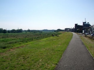 P6224946