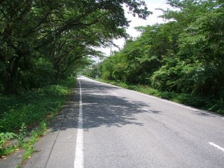 P7035004