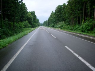 P7303678