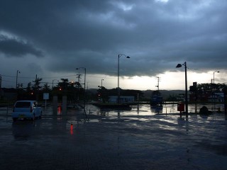 P7307456