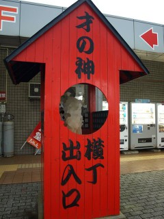 P7307459