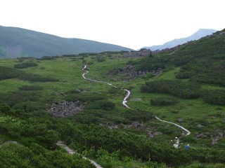 P8138100