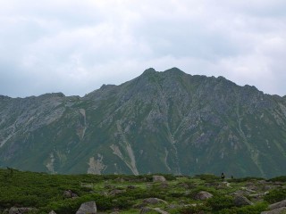 P8138134