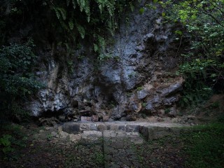 PB113482