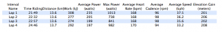 ishikawa_lap_data